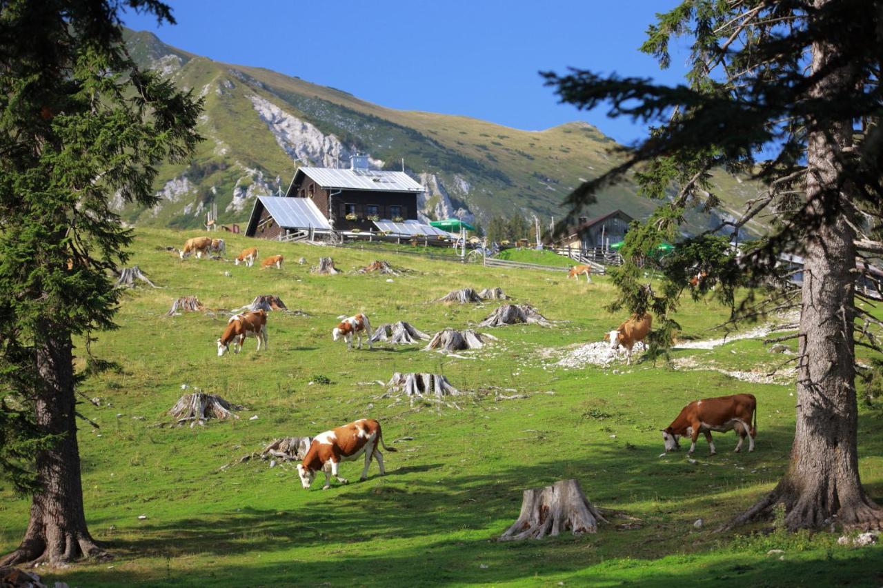 Glamping Mountain Fairy Tale Villa Bistrica pri Trzicu Екстериор снимка